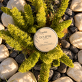 Volea Eclipse Shea Body Butter in a round silver tin, with one tin open to show the creamy off-white balm inside and another tin showing its lid label.