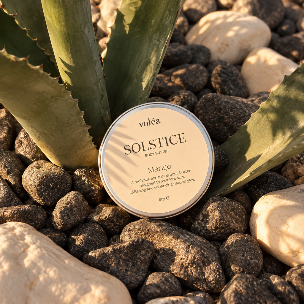 A round tin of voléa Solstice Mango body butter sits on dark river stones between green agave leaves. The label is cream-colored with black text, and the scene is lit by warm natural sunlight.